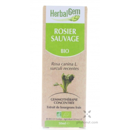 Rosier sauvage bourgeon 15 ml