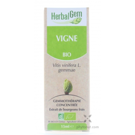 Vigne bourgeon 15 ml