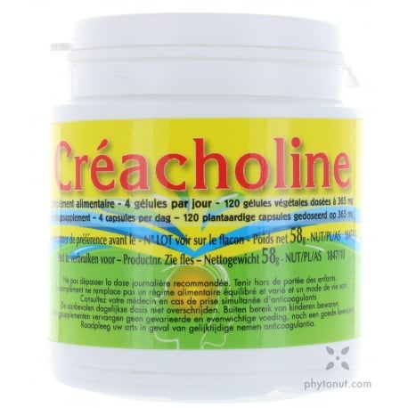 Creacholine