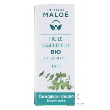 Eucalyptus radié - Huile essentielle bio