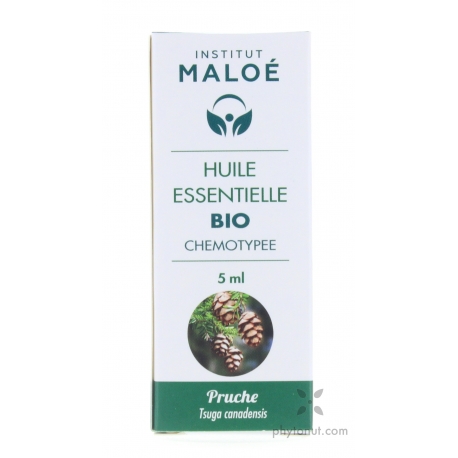 Pruche - Huile essentielle bio