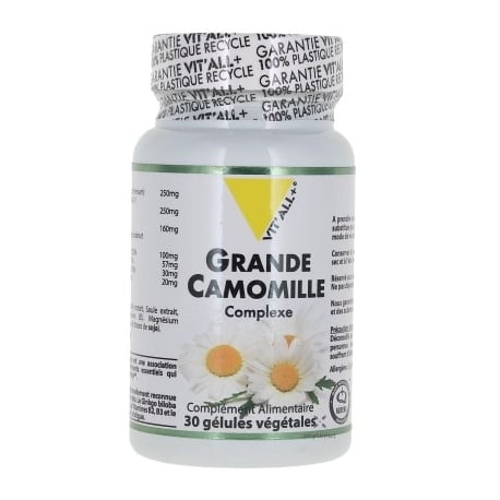 Grande camomille complexe