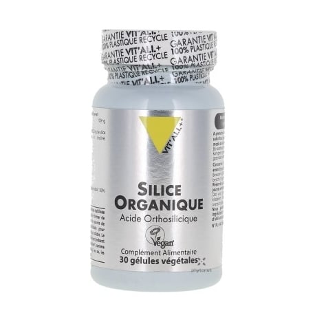 Silice organique