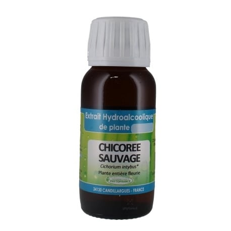Chicorée EPF 60 ml