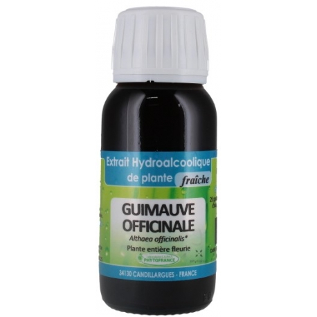 Guimauve officinale BIO