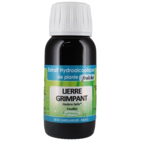 Lierre grimpant EPF 60 ml