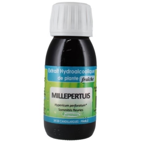 Millepertuis