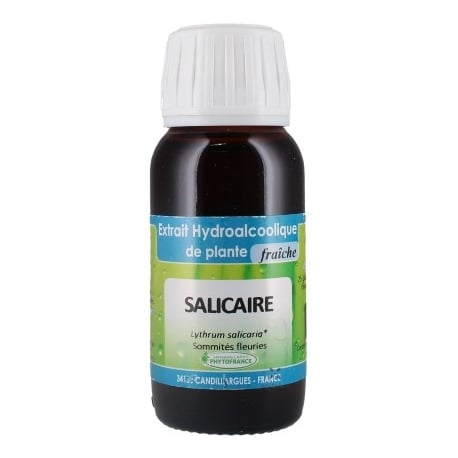 Salicaire EPF 60 ml