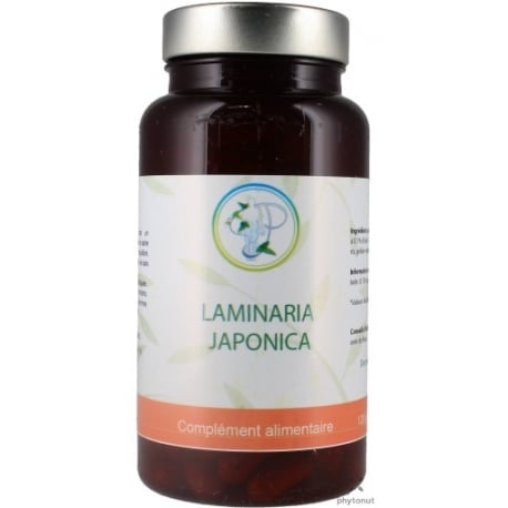 Laminaria japonica