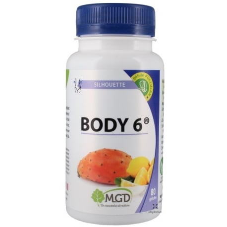 Body 6