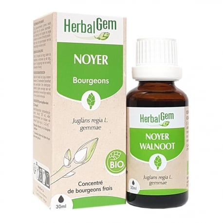 Noyer bourgeon 15 ml