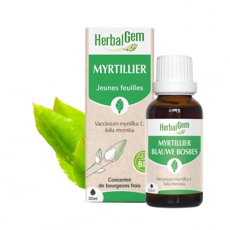 Myrtille bourgeons bio 30ml