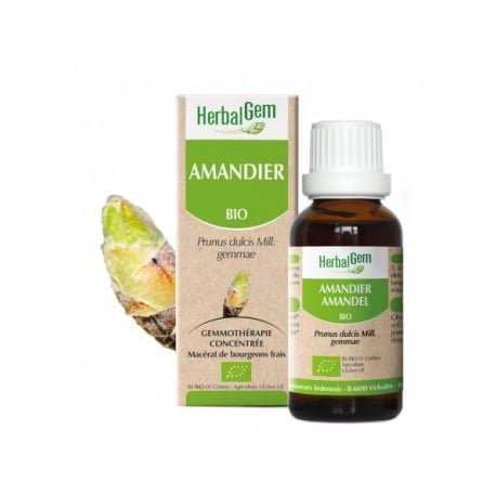 Amandier bourgeon 15 ml