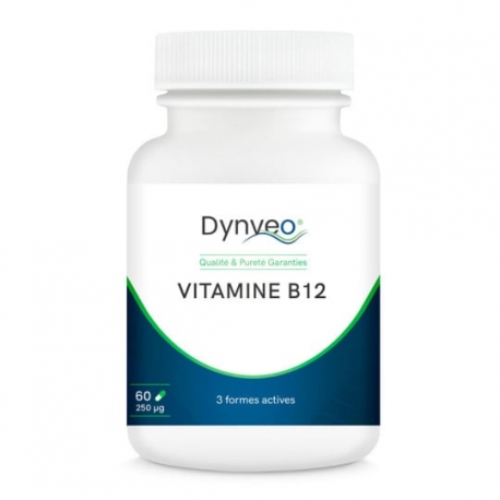 B12 dynveo