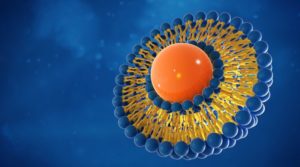 shéma d'un liposome