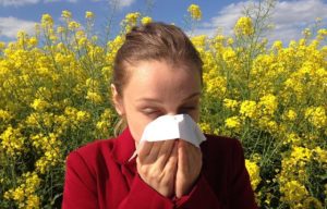 Soigner ses allergies aux pollens naturellement