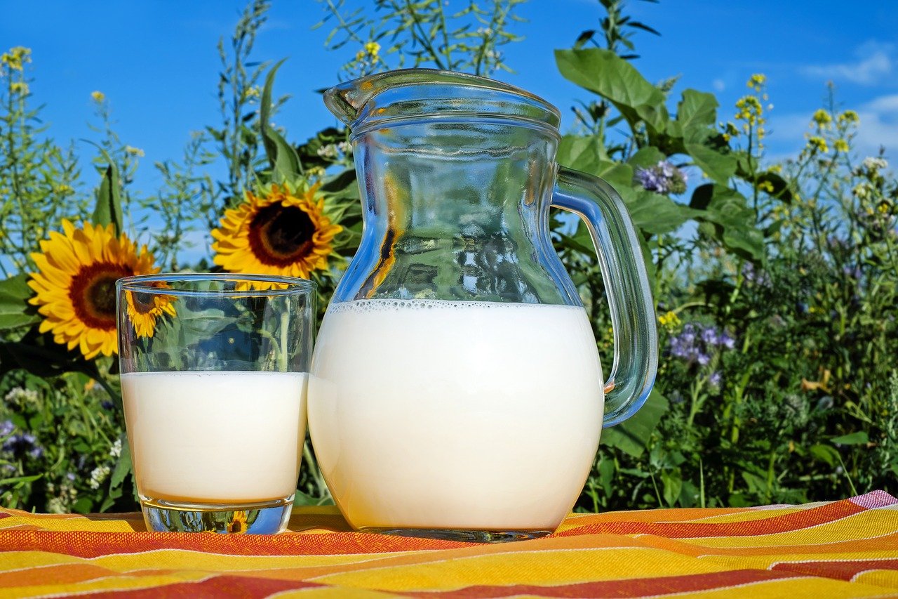 Lait dans un verre, un des aliments les plus riches en calcium.