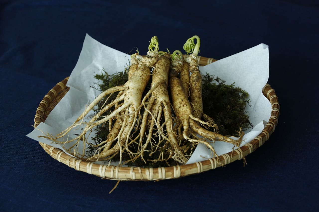 Racines de ginseng : bienfaits de cette plante.