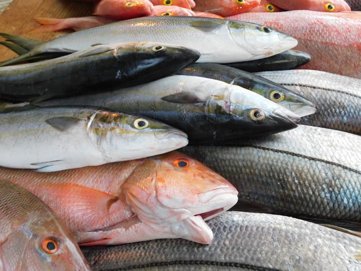 Poisson, un des aliments contenant de la vitamine D.