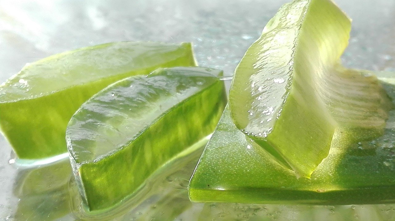 Gel d'Aloe vera à boire : bienfaits, posologie et danger de cet aliment.