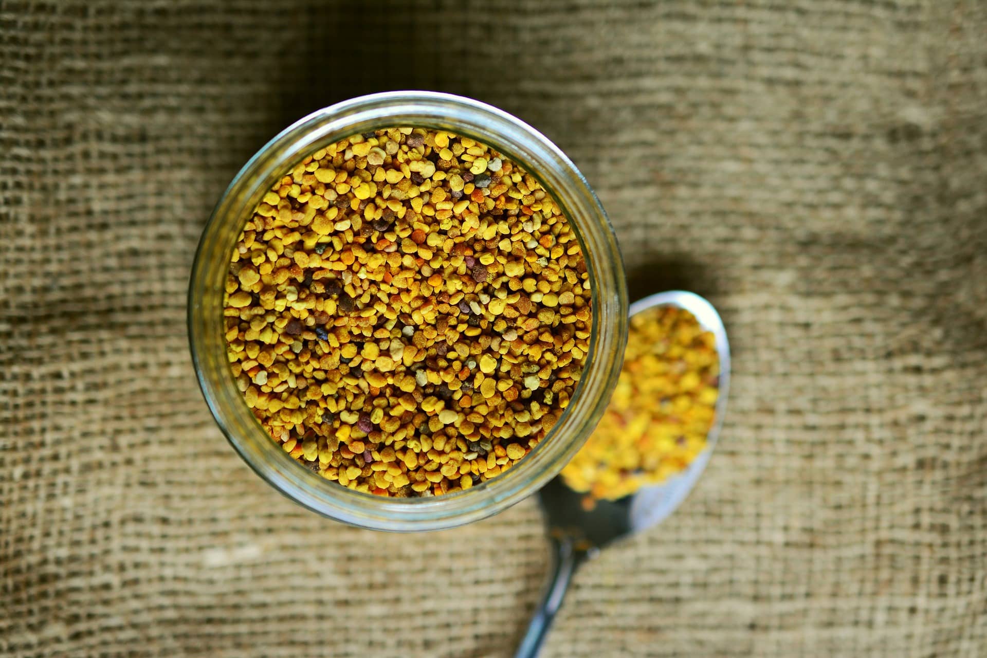 Pollen alimentaire dans un bol.