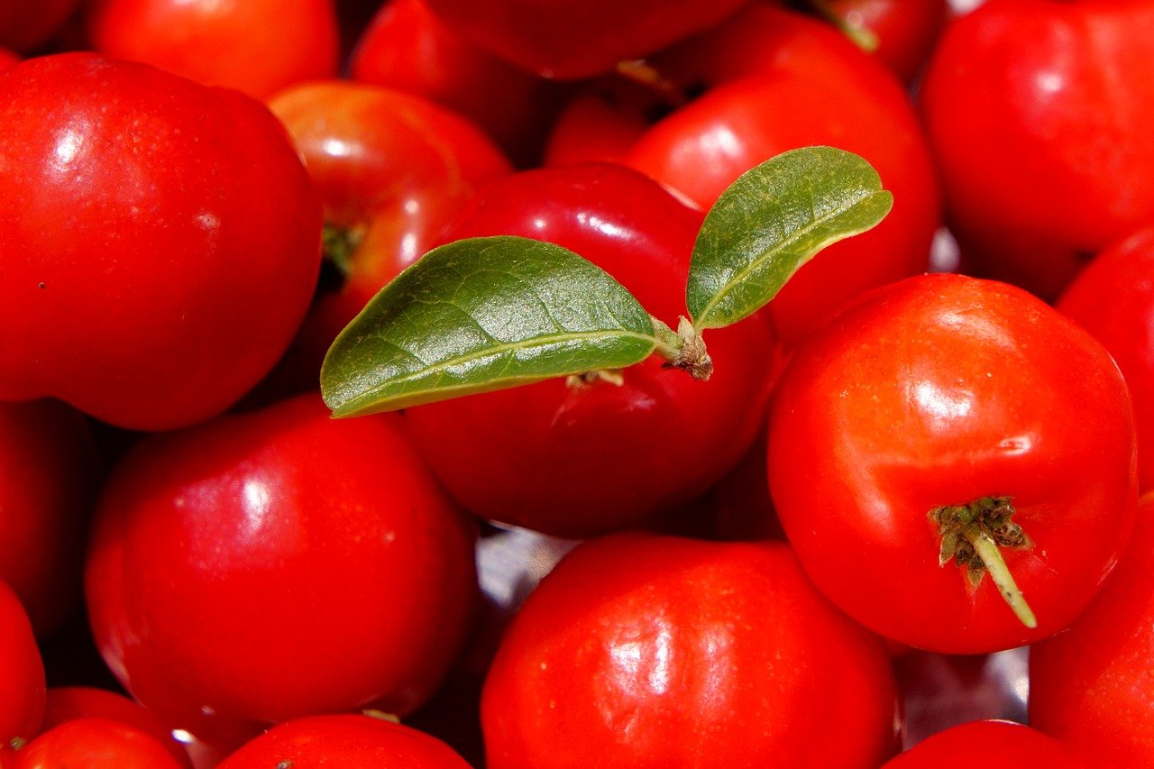 Fruits d'acérola en complément alimentaire : avis et comment choisir.