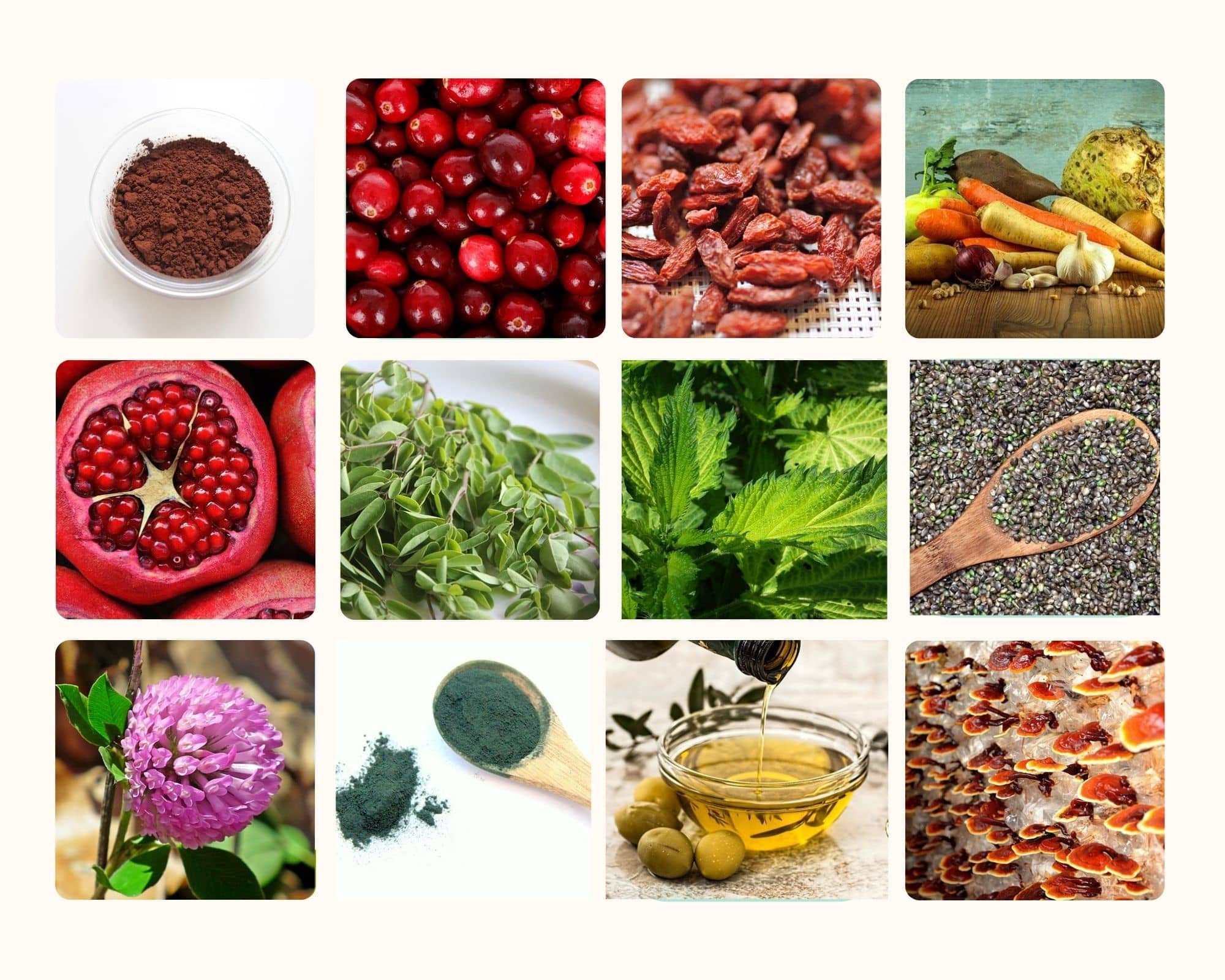 Photo de superaliments ou superfood. 